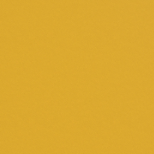 Grampian Racing Yellow